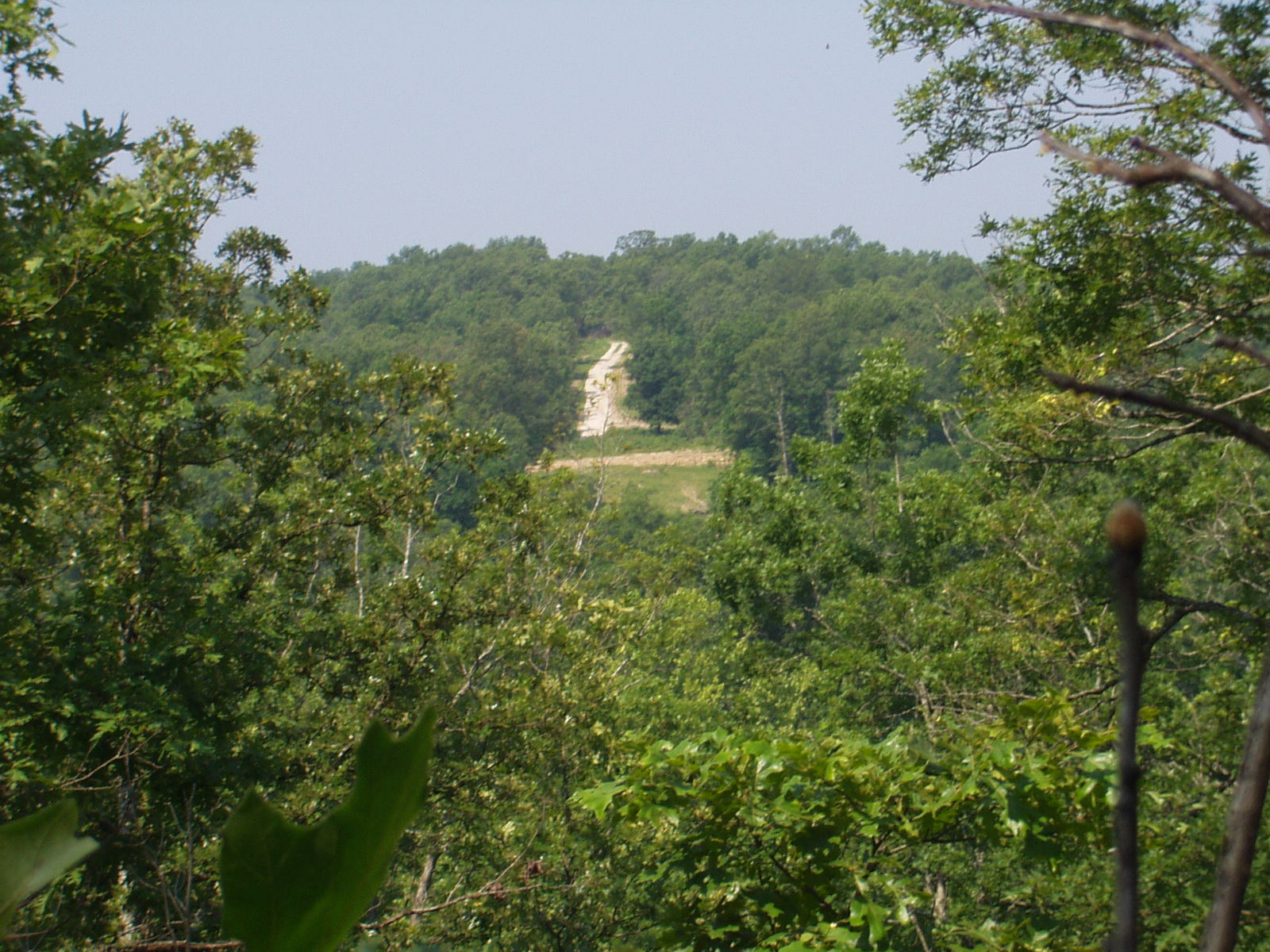 view_of_road_across_meadow_.jpg